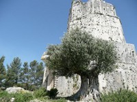 Nimes tour magne3.jpg
